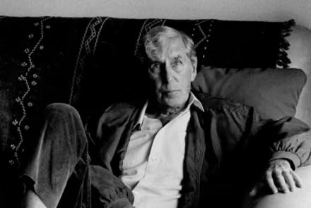 Tippett